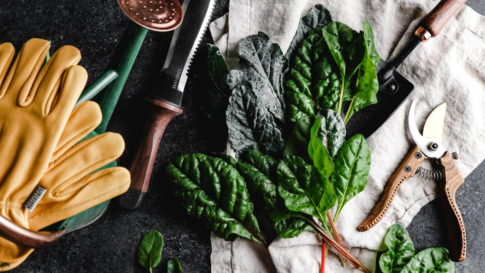 Gardening gloves, sheers, chard and spinach on a table